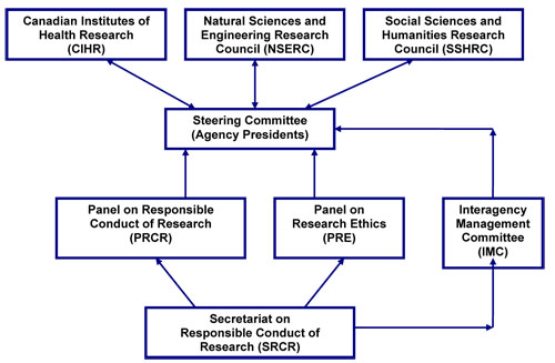 Organizational Structure