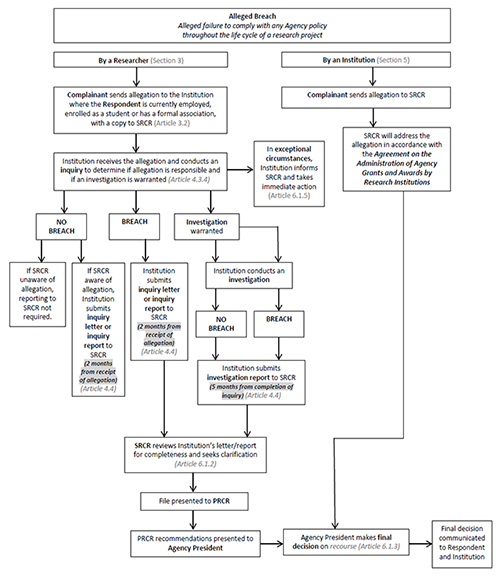 Summary of Process